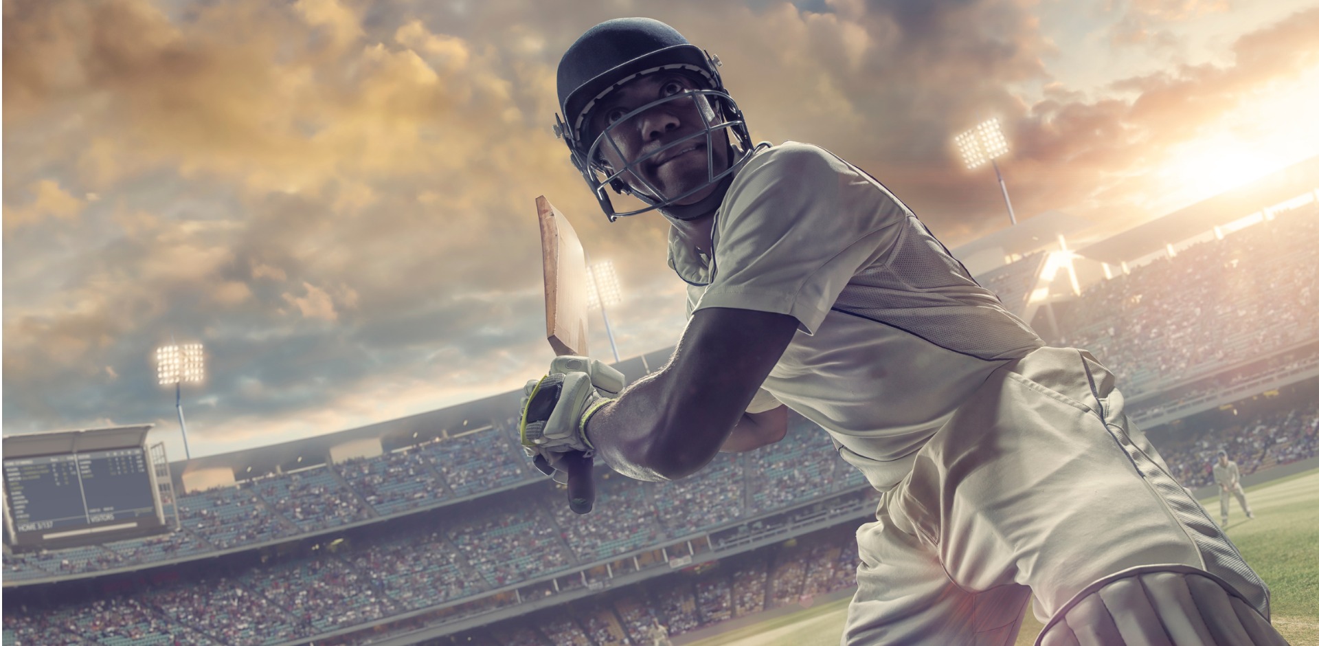 cricket